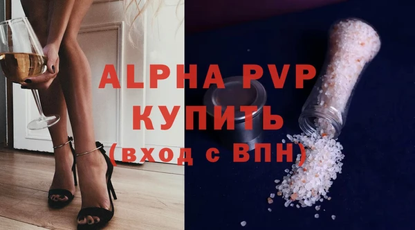 ПСИЛОЦИБИНОВЫЕ ГРИБЫ Богданович