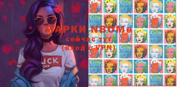индика Белокуриха