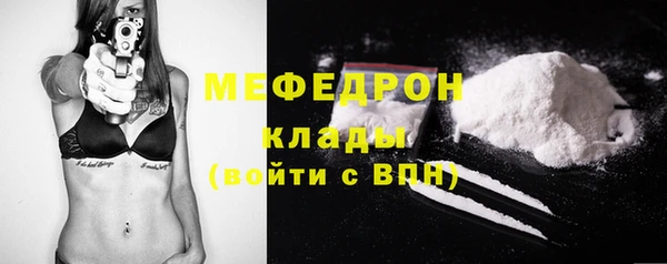 индика Белокуриха
