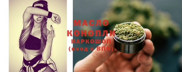 индика Белокуриха