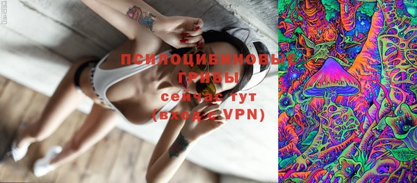 a pvp Богородск
