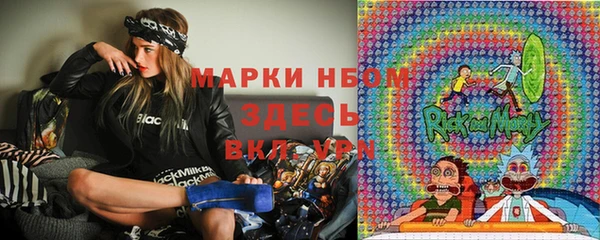 индика Белокуриха