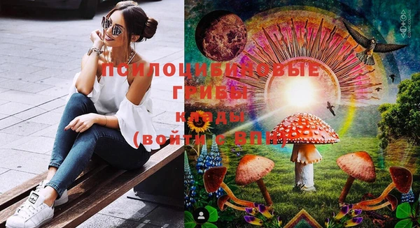 индика Белокуриха