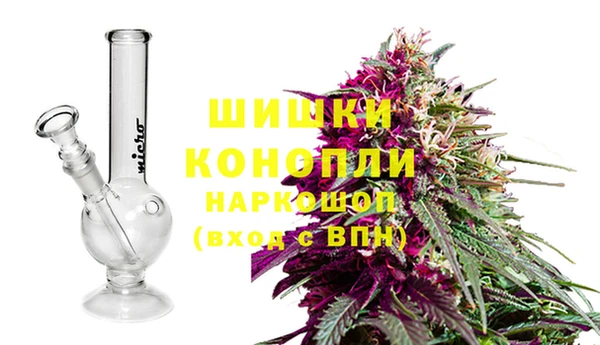 ПСИЛОЦИБИНОВЫЕ ГРИБЫ Богданович