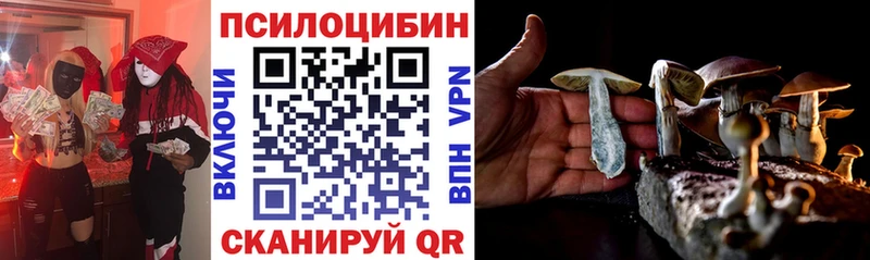 Галлюциногенные грибы Cubensis  Москва 