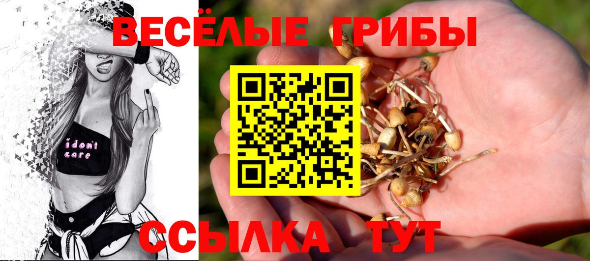 Псилоцибиновые грибы ЛСД  Вход с VPN  Москва  Псилоцибиновые грибы Psilocybe 