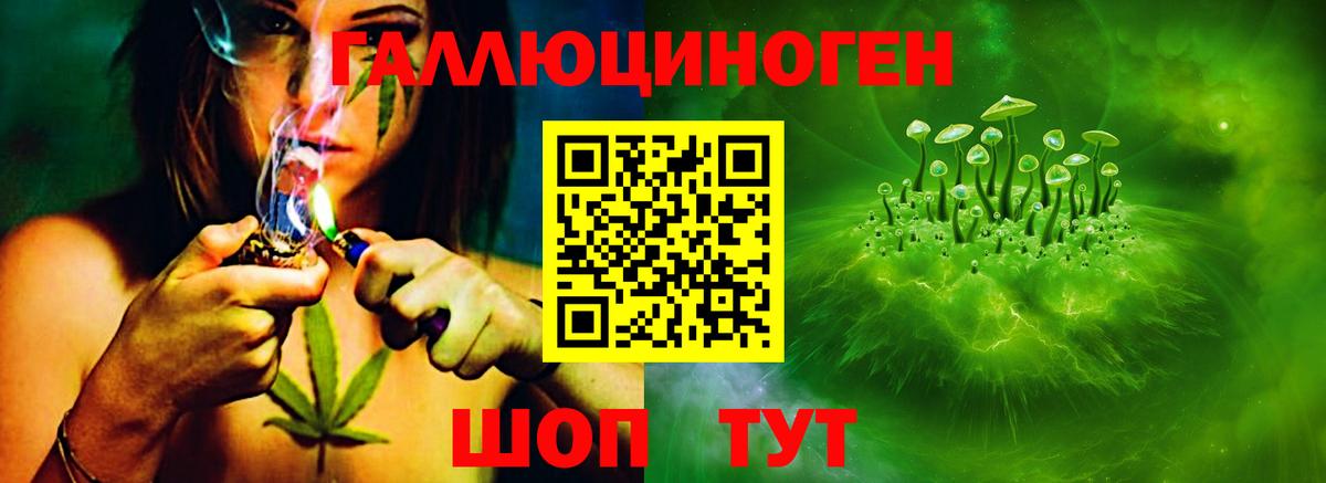 Псилоцибиновые грибы Psilocybe Москва